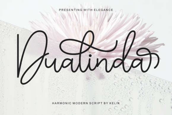 Dualinda: A Warm, Approachable Script for Real-World Projects